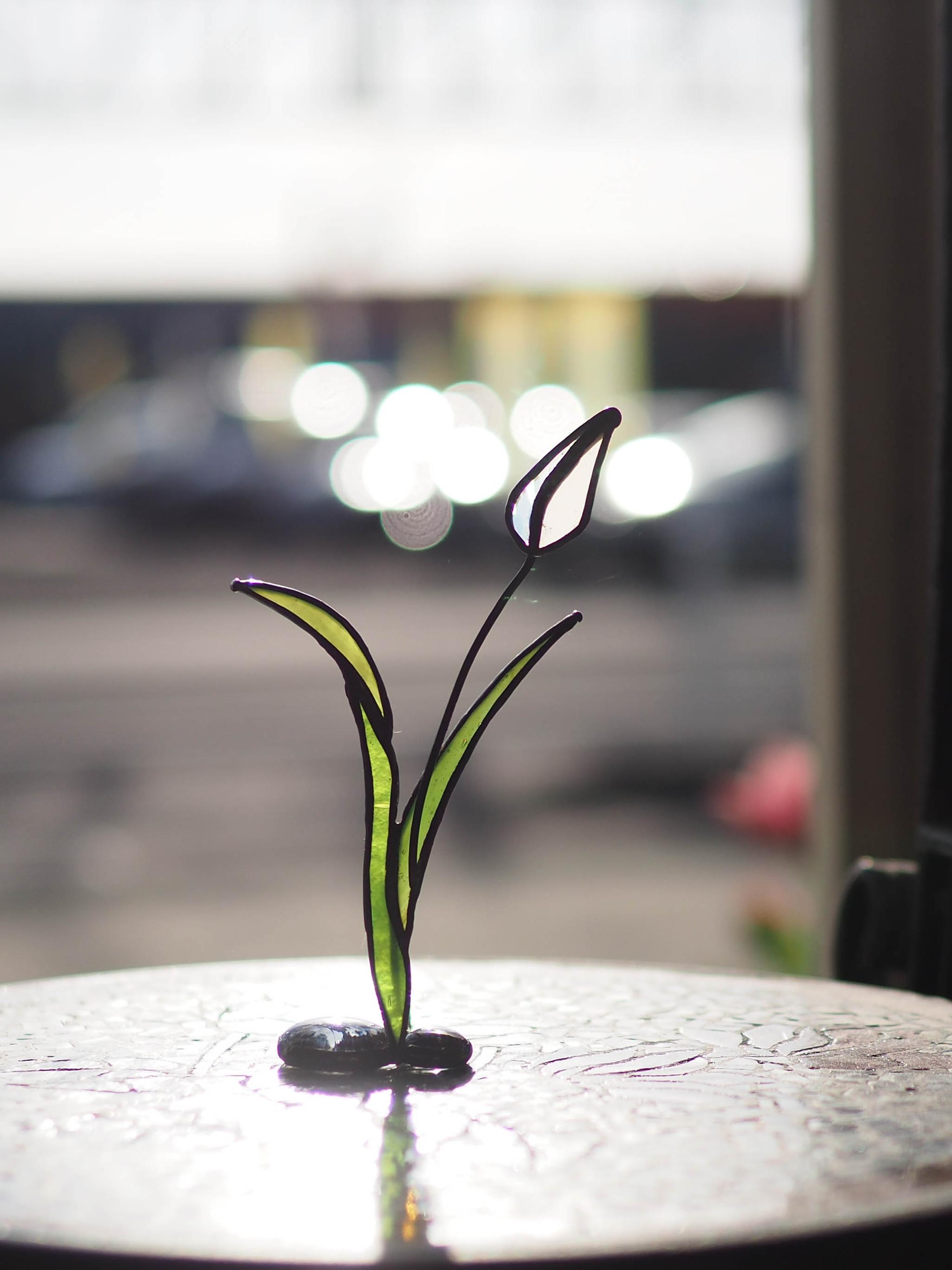 「チューリップ」ステンドグラス・アンティークガラス・窓辺にちょこんとシリーズ | 11枚目