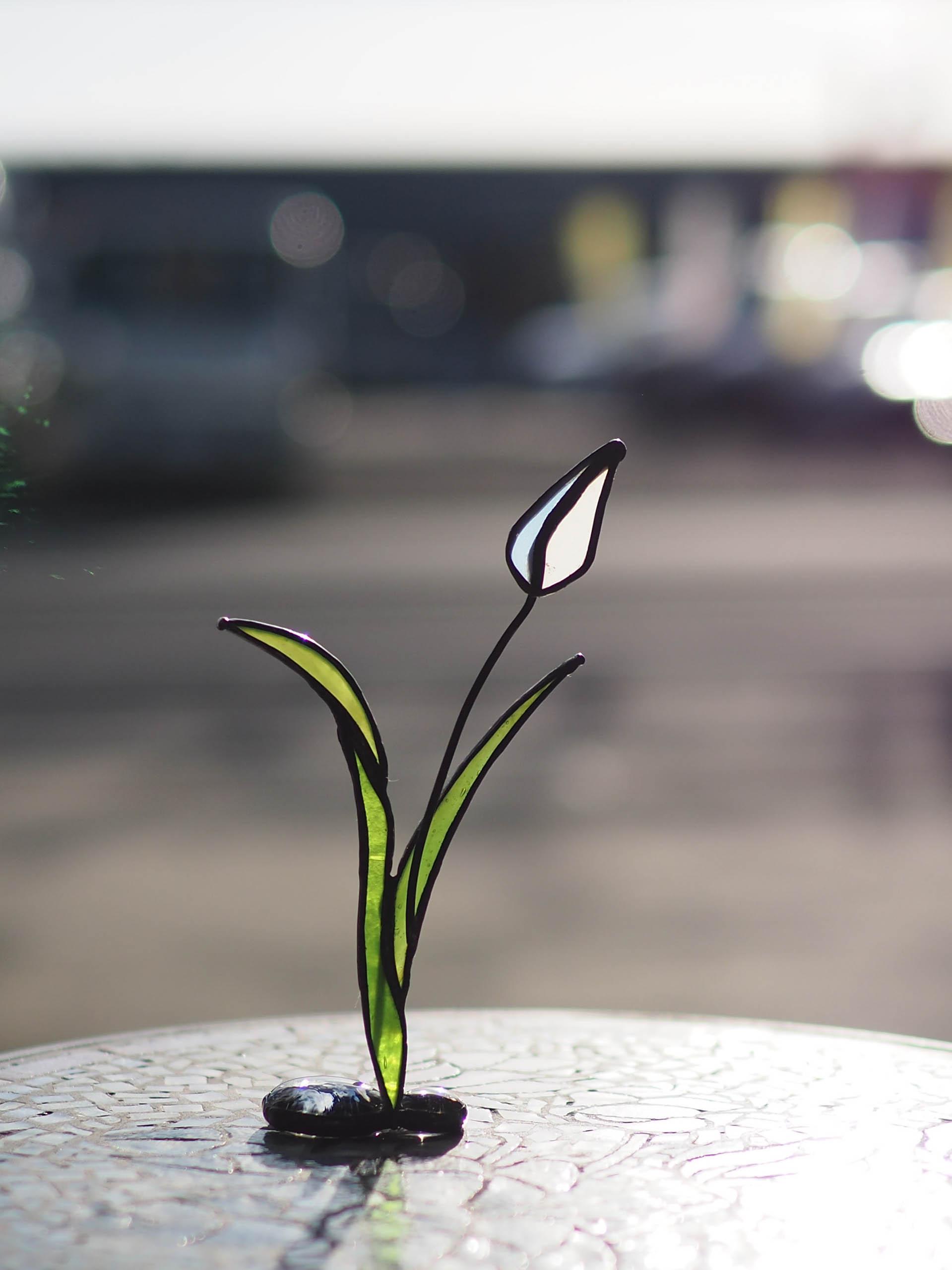 「チューリップ」ステンドグラス・アンティークガラス・窓辺にちょこんとシリーズ | 12枚目