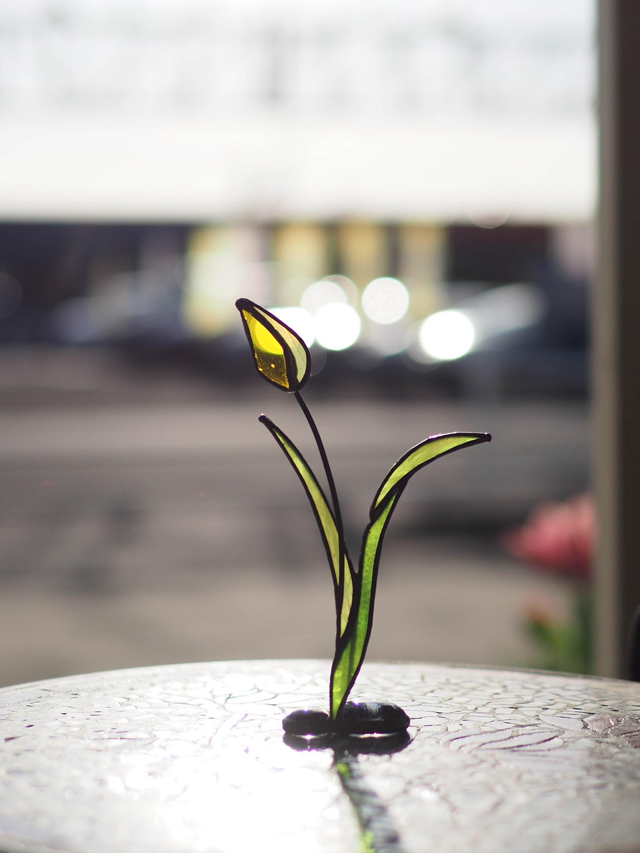 「チューリップ」ステンドグラス・アンティークガラス・窓辺にちょこんとシリーズ | 7枚目