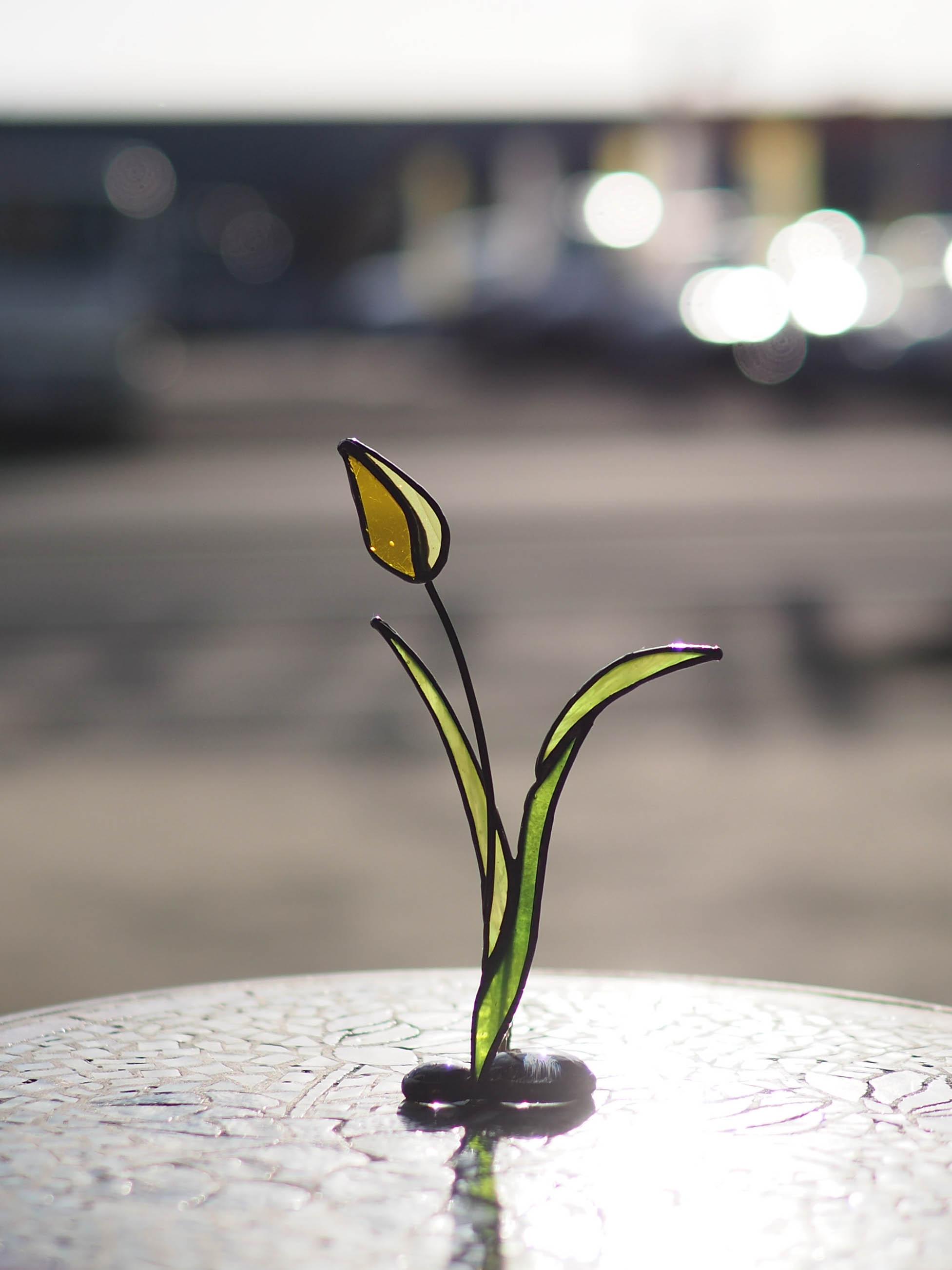 「チューリップ」ステンドグラス・アンティークガラス・窓辺にちょこんとシリーズ | 8枚目